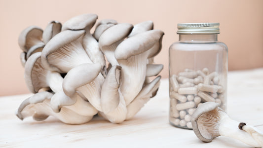 Top Mushroom Supplements for Health: A Comprehensive Guide