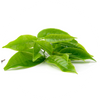 L-Theanine