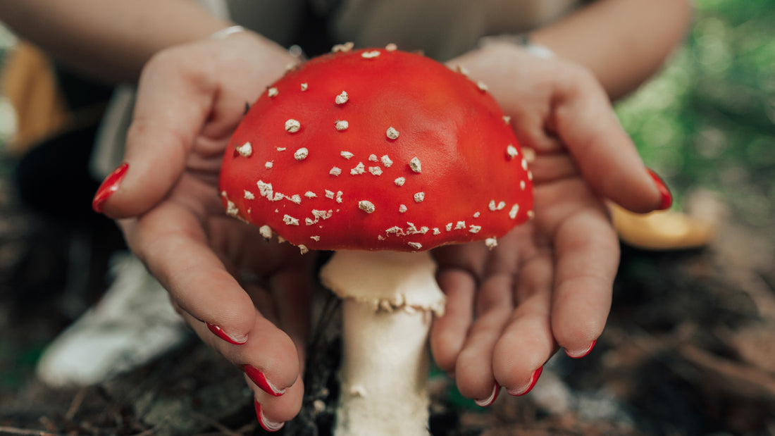 How Long Does it Take For Magic Mushrooms to Kick in?